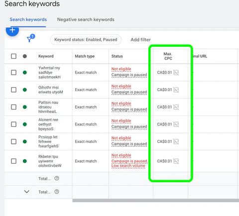 Adjusting Keyword Bids with Maximize Conversions in Google Ads